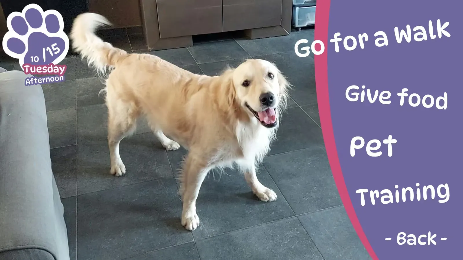 Steam养狗模拟《Golden Retriever Simple Life》即将上线