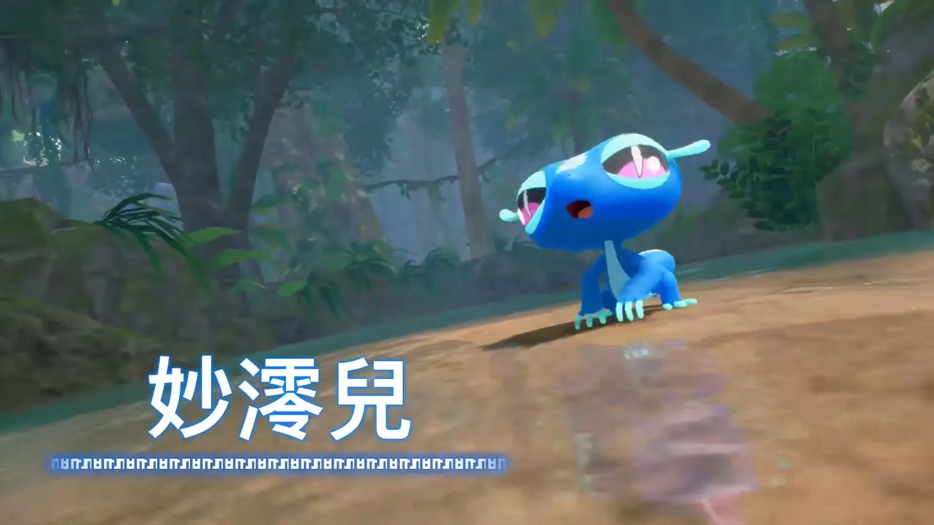 《宝可梦 风与波》御三家公开 3